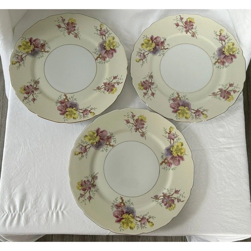 3 Apple Blossom (Cream Background) by BLACK KNIGHT Dinner Plate Made in Germany